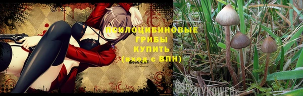 стафф Зерноград