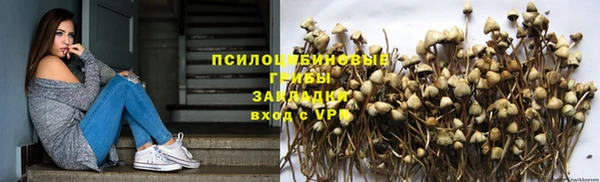 стафф Зерноград