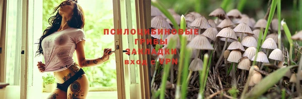 стафф Зерноград