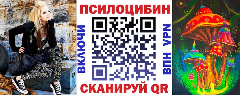 Псилоцибиновые грибы Cubensis Уржум
