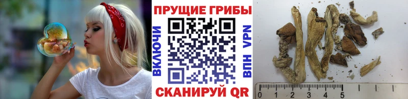 Галлюциногенные грибы прущие грибы  Купить закладки  Уржум 