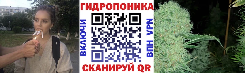 Бошки Шишки план  Купить  Уржум 